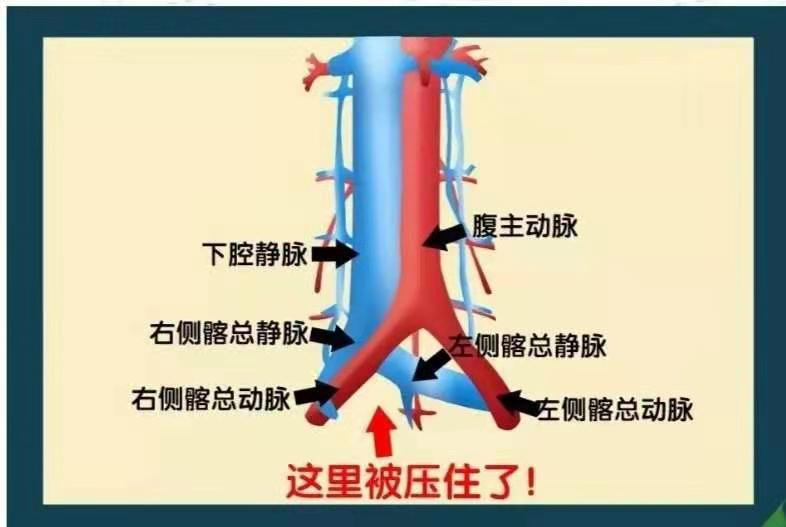 202012280418507877.jpg